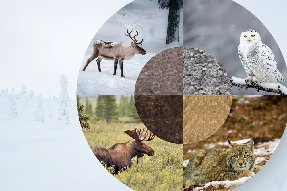 Arctic Nature -kuosit ovat saaneet inspiraationsa pohjoisen eläimistä.